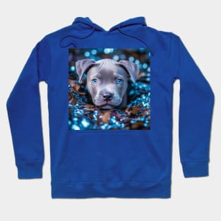 Blue nose shimmer Staffy Hoodie